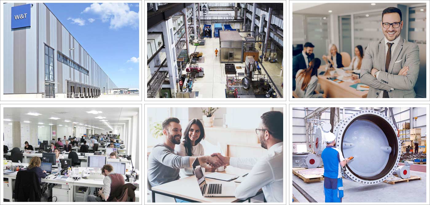 維替簡(jiǎn)介 維替簡(jiǎn)介